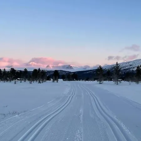 Bjorgebu Campung As Campeggio Mysusæter